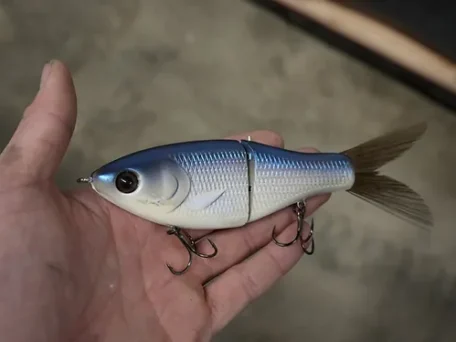 clutch eco swimbait