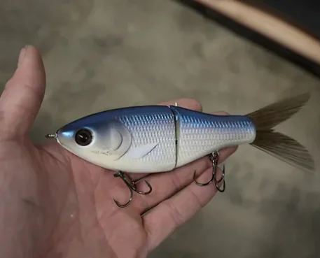 clutch eco swimbait