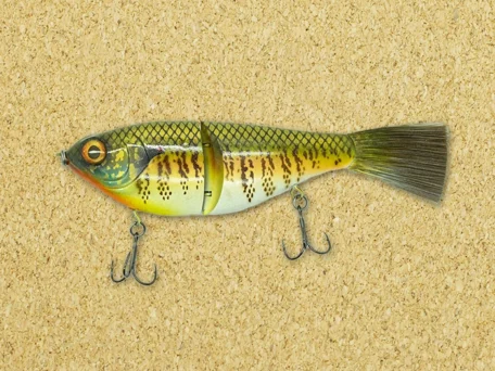 Active Catch - Guava Gill_B